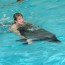 3 locuri din Europa unde poţi să înoţi cu delfini…şi un bonus pentru curajoşi